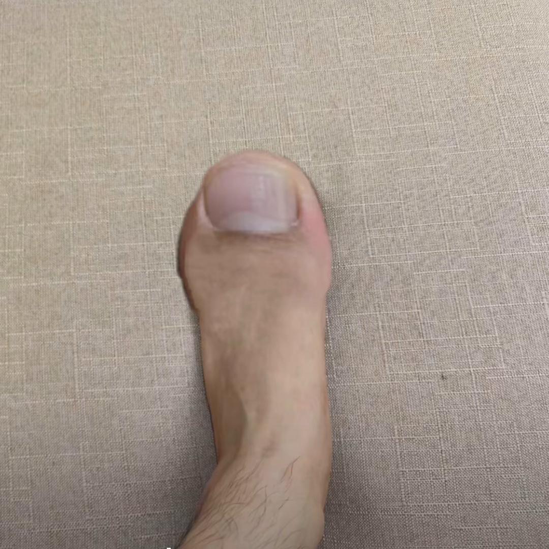 俩王派我来巡山