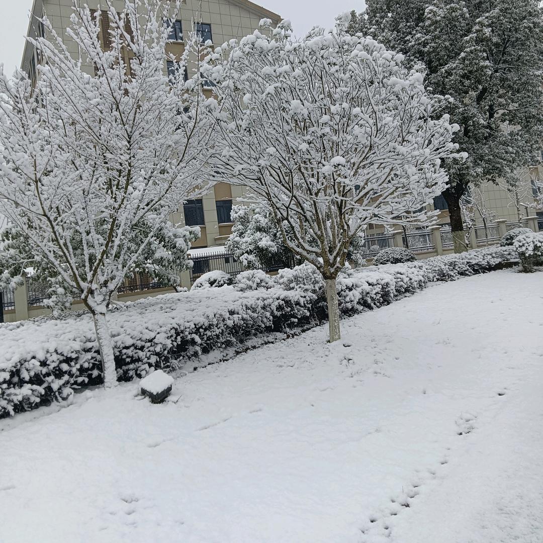 冰雪爱好者