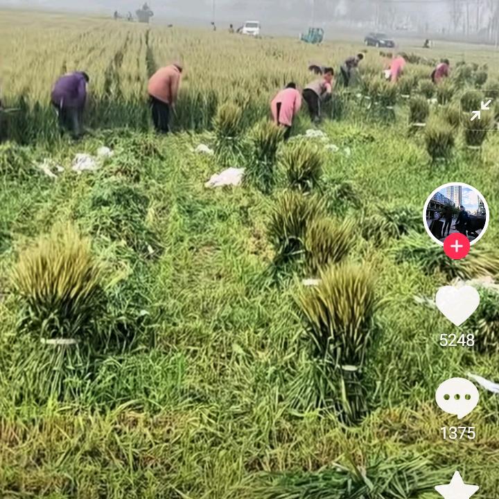 赵军，