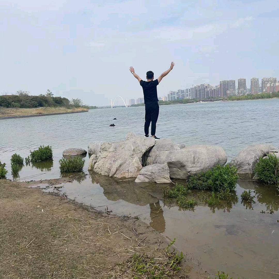 河南毛蛋