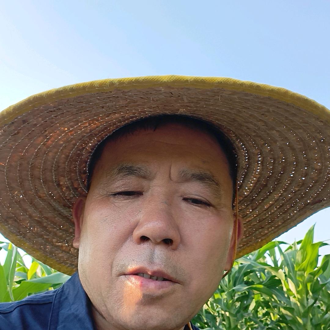 恭喜发财！