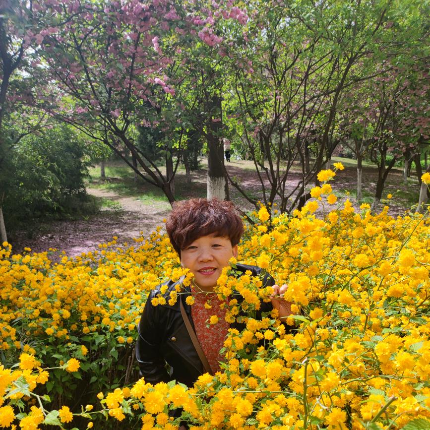 我的开心果❤橱窗