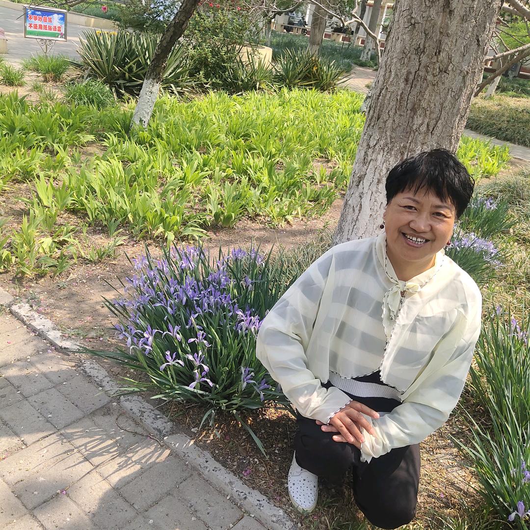 梅花，每天:下午晚7:10开播