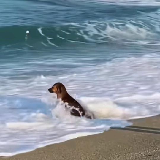 昵.称