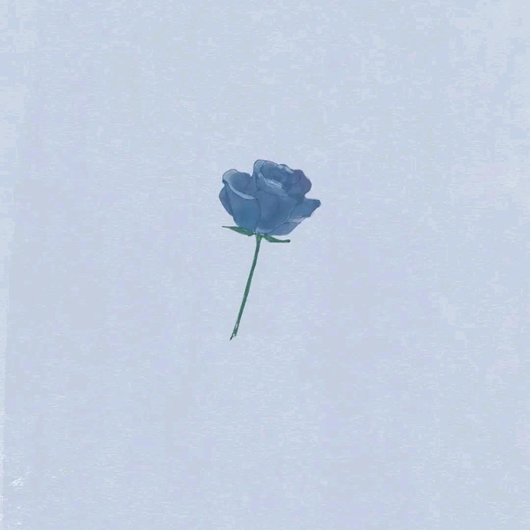 你是歌姬吧