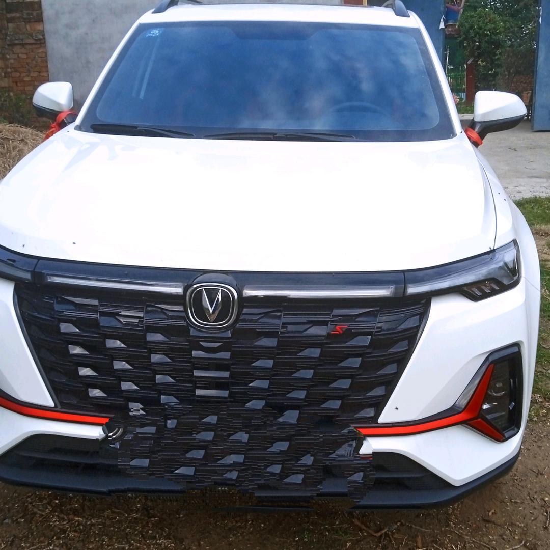 身不由己（牛）