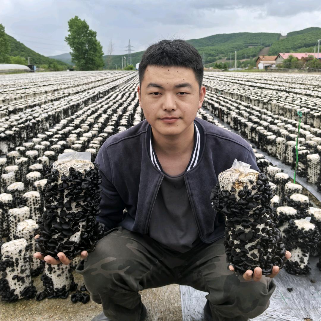 黑龙江黑木耳之乡小孙