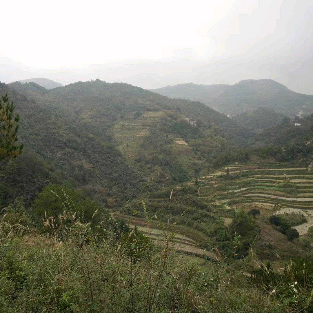 @武一鳴命理堪舆