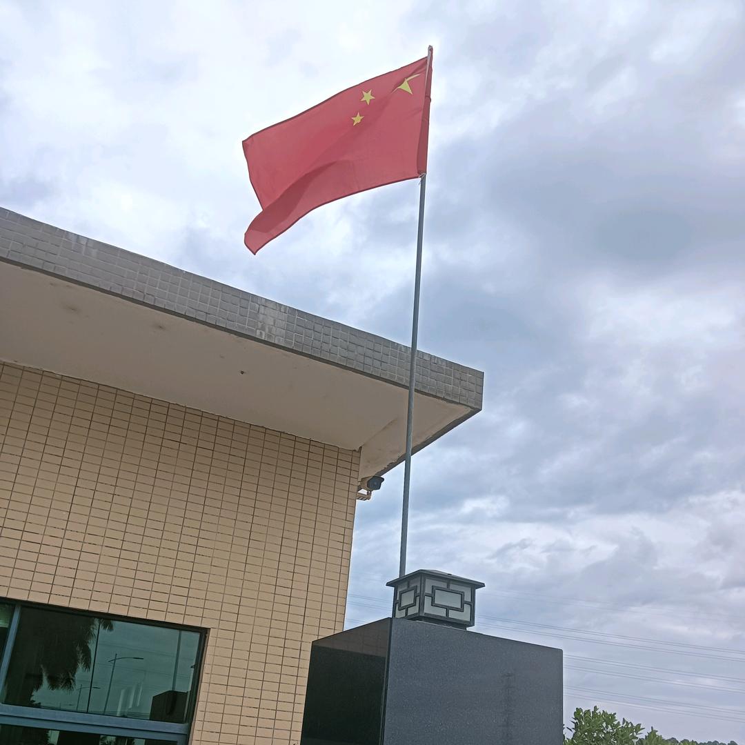 游龙戏凤