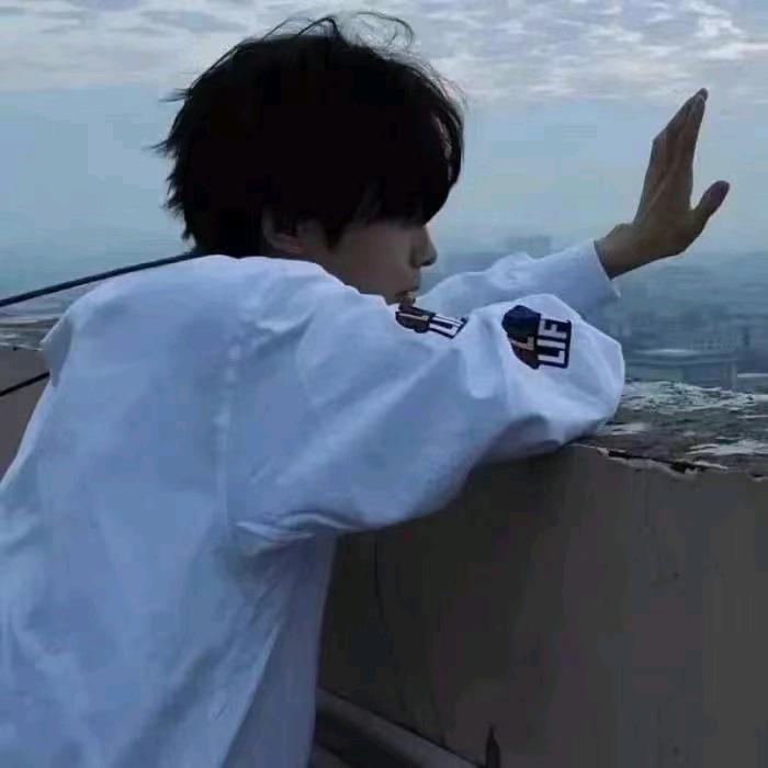 爱薇莉尔