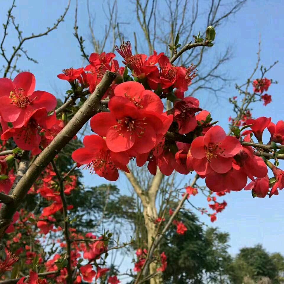 好心人。，，，，，，，，，，，