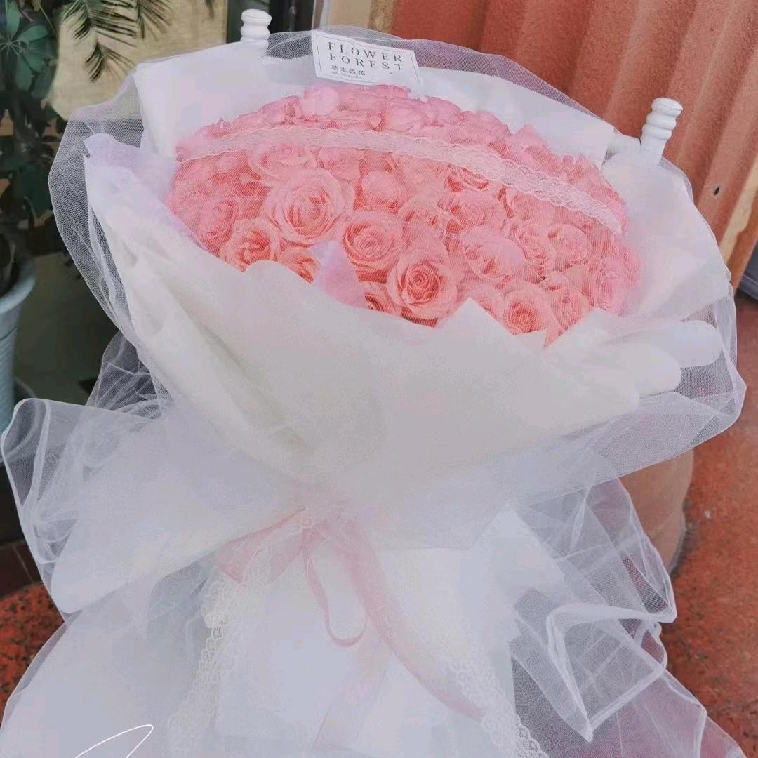 （星星莎）