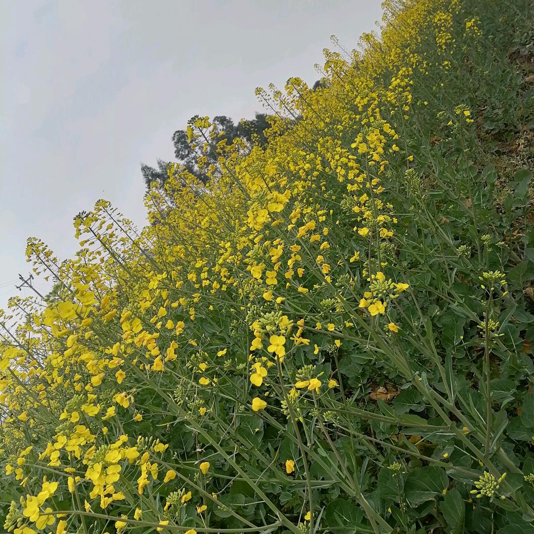 独自一人闯天涯