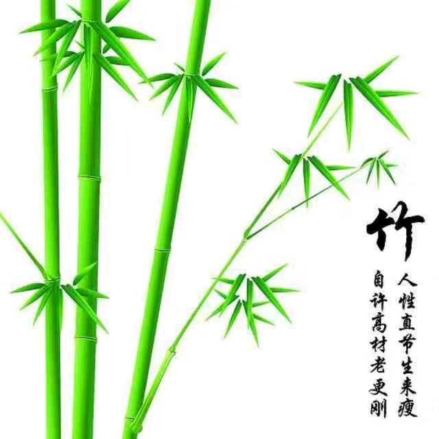 帆上云朗