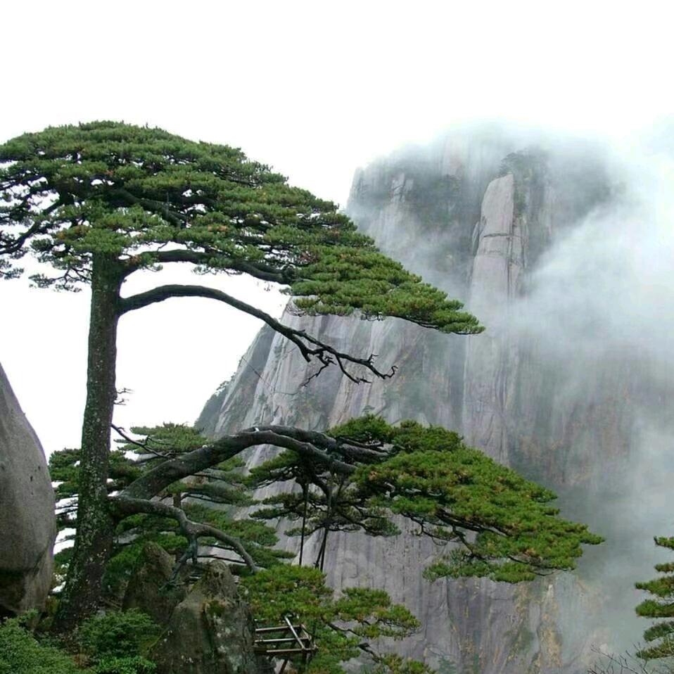 天长地久