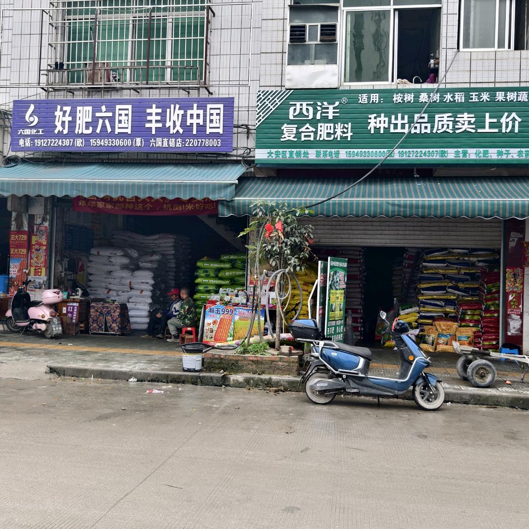 无名指