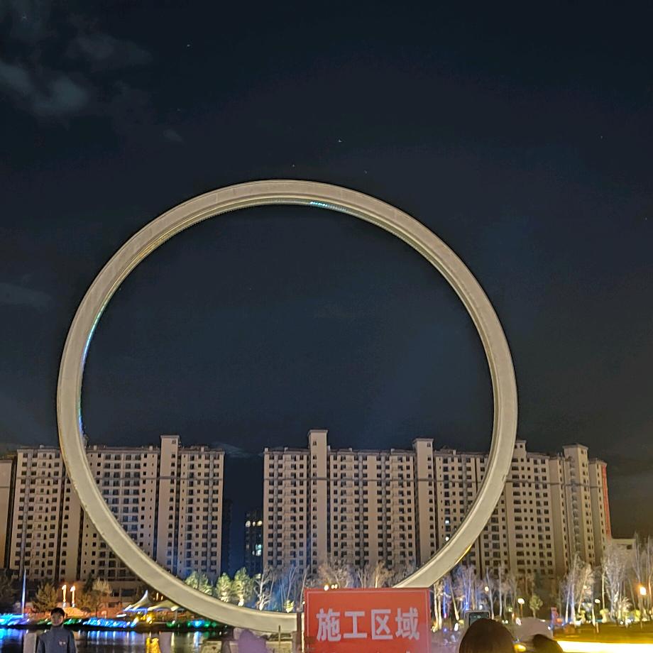 一个特立独行的猪