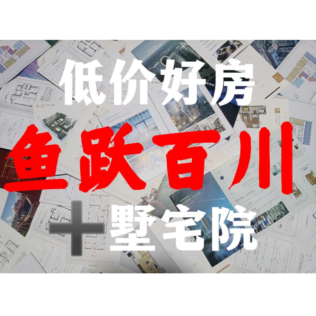鱼跃百川