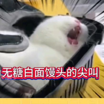 糯米狍子🌈ˣʸ⛅（第五人格）