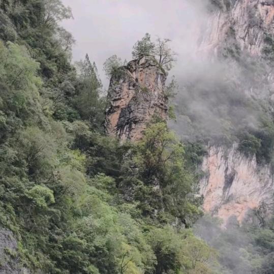 东鑫