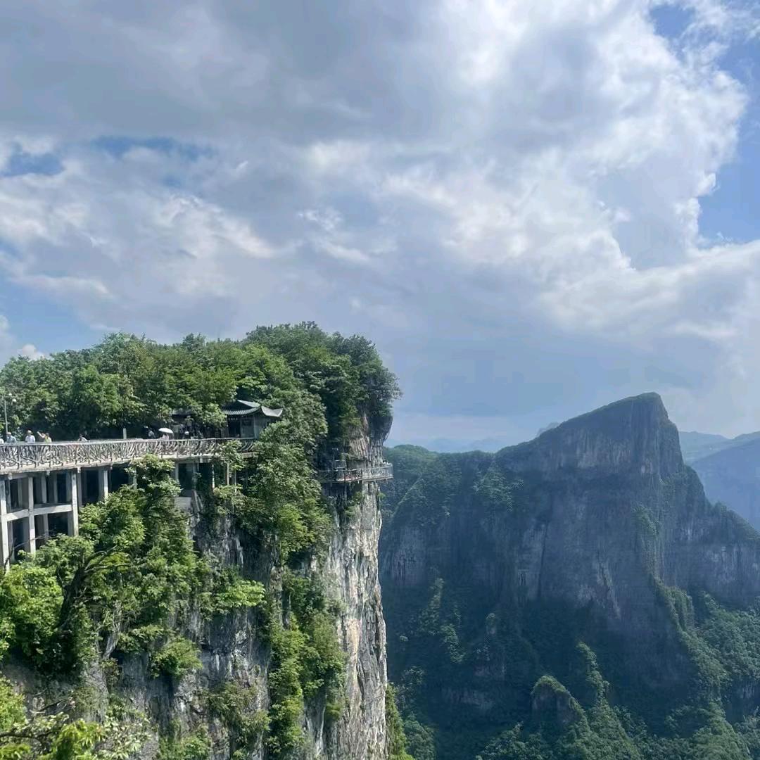 李野