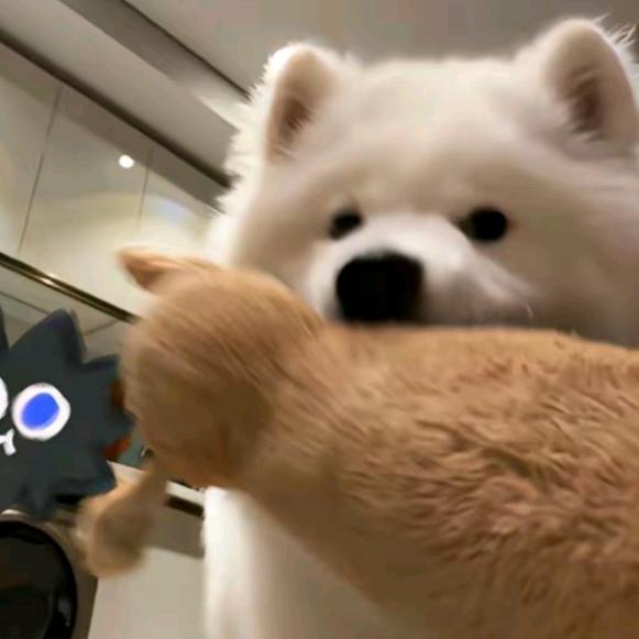 666