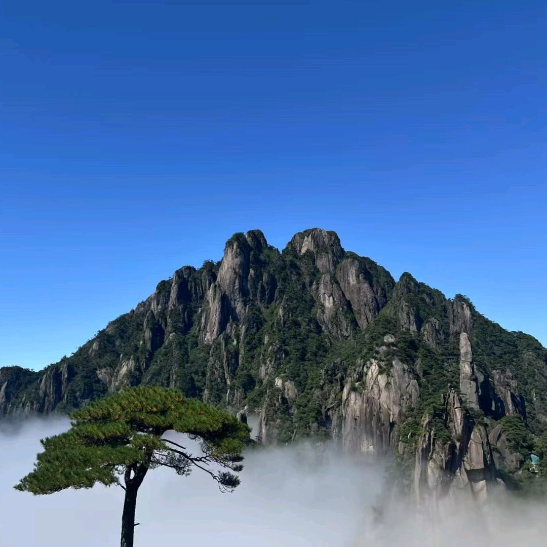 龙惠🇨🇳