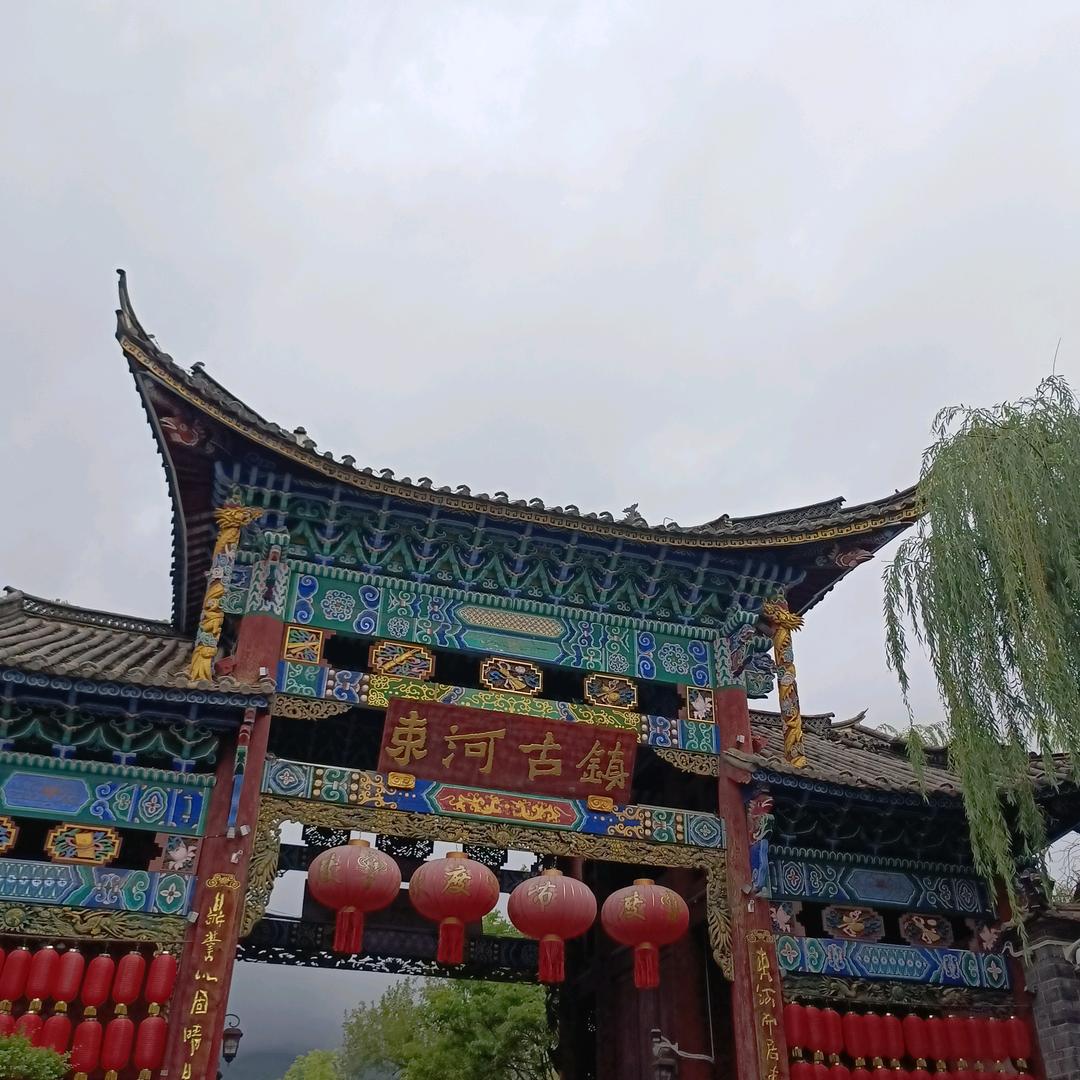 我是一个无人知道的小草