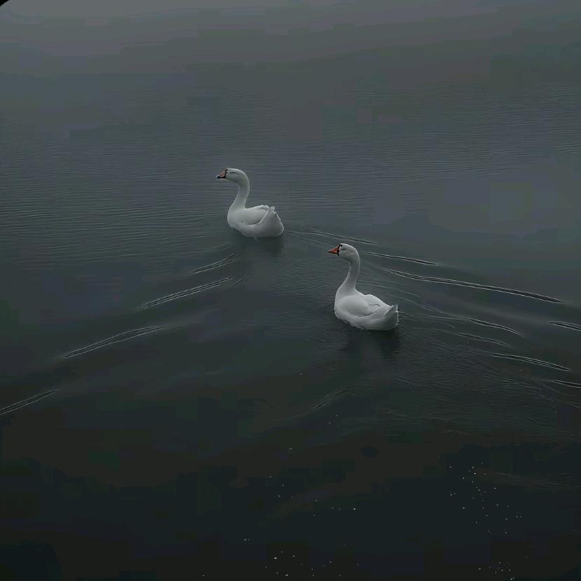 杨廷海与芮真咨询严选