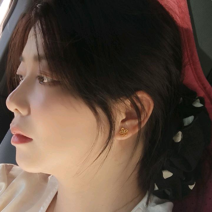 小凤🌵