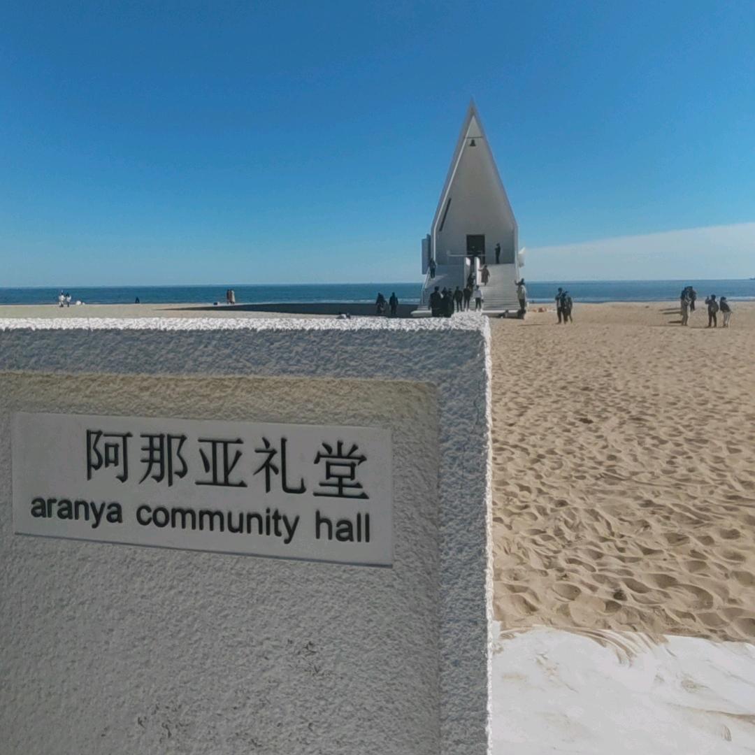 涛涛哥