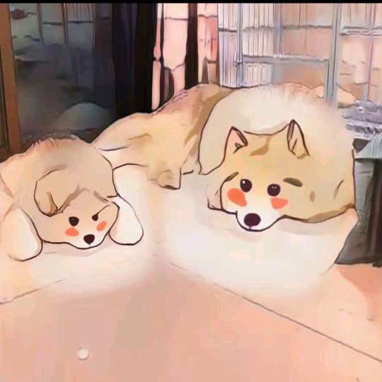 皮夹克麻麻