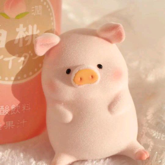 慕杨初末