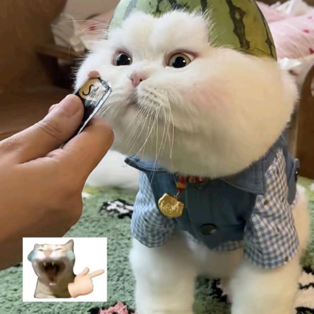 牛安迪