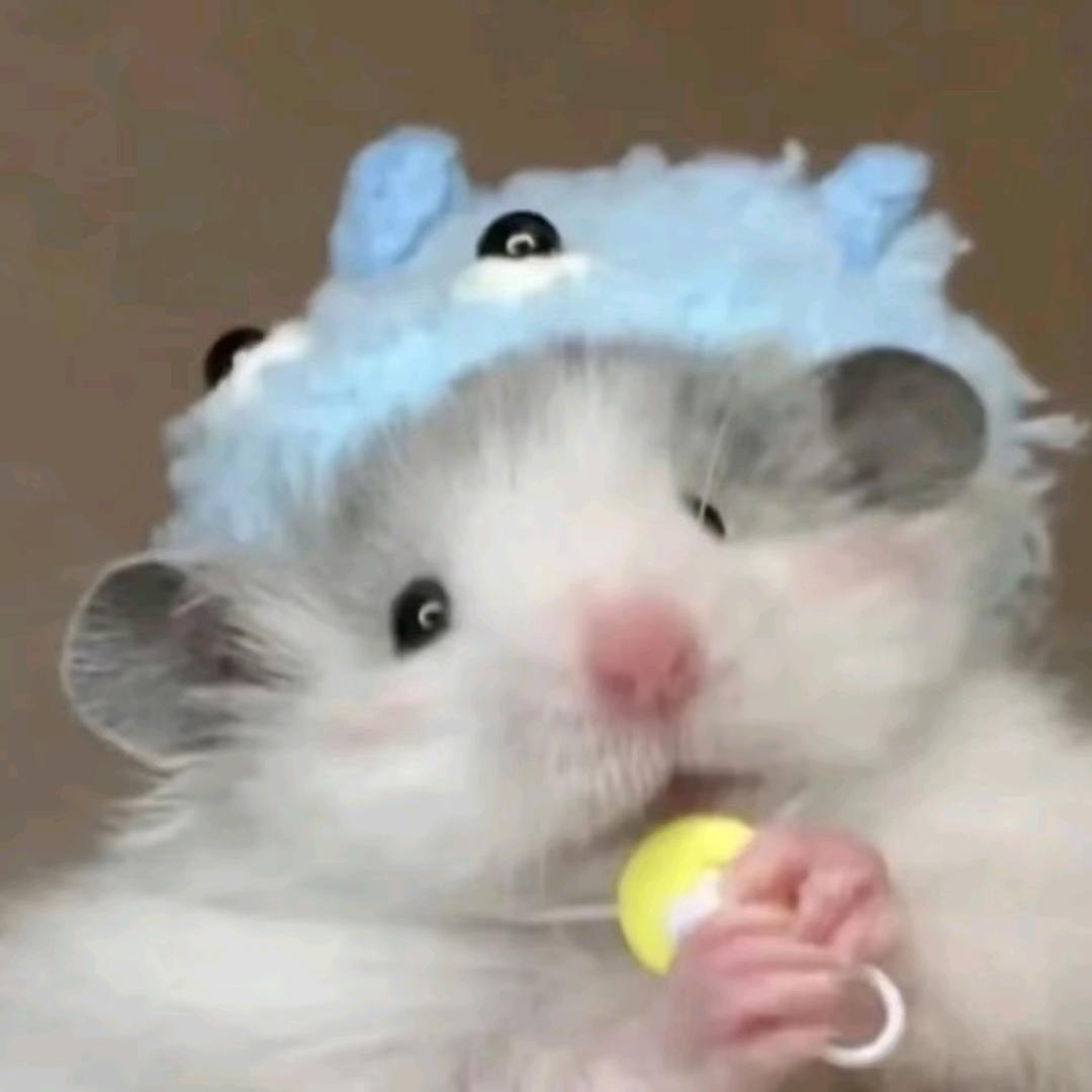鼠