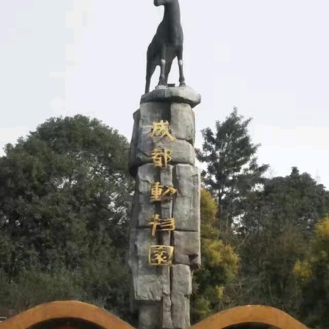 梦想的未来
