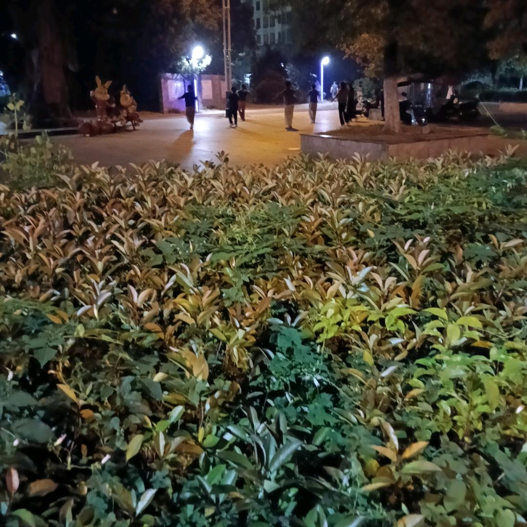 明天更好