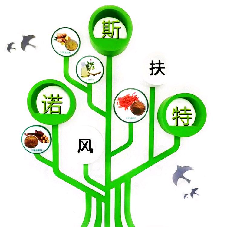 斯诺特生物——王瑞