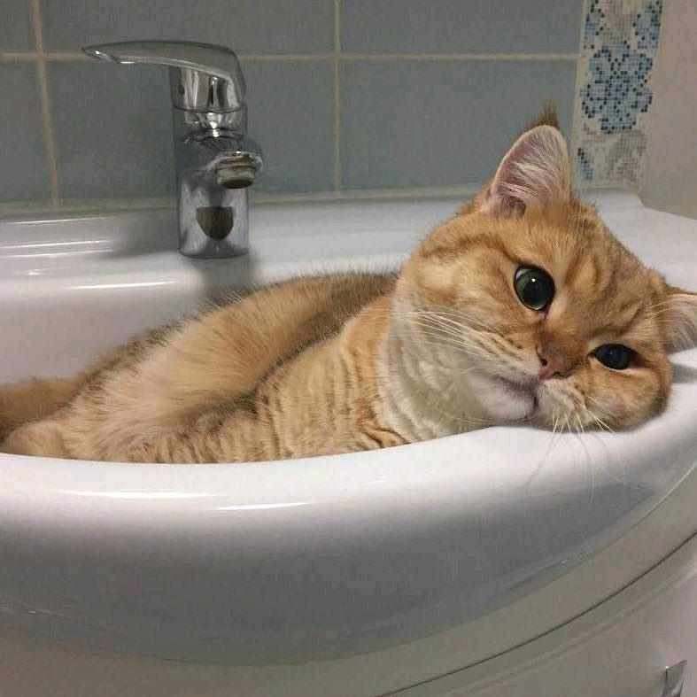 月瑄爱吃西瓜778