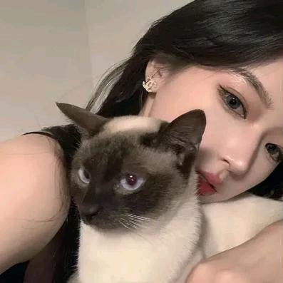 月朦胧，鸟朦胧🐟🐟🐟🐟