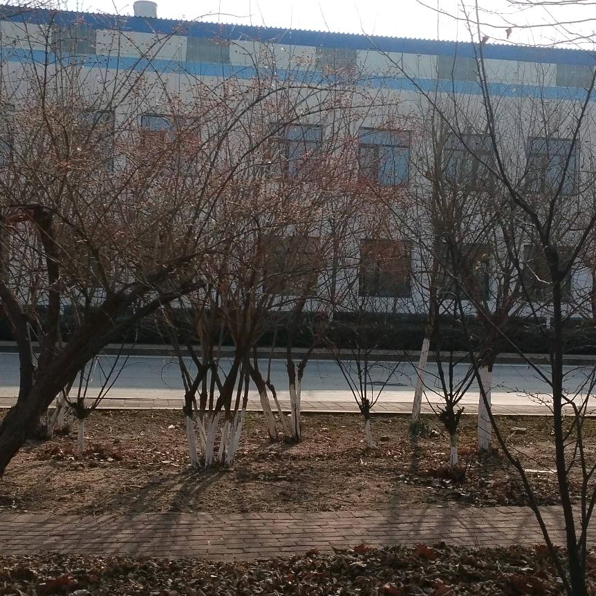 从头再来🙏🏻