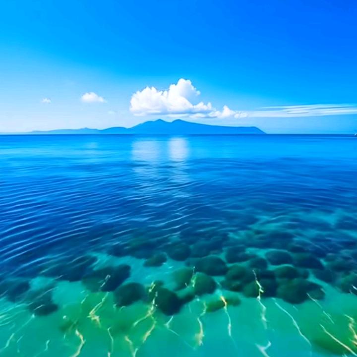 逐梦天涯