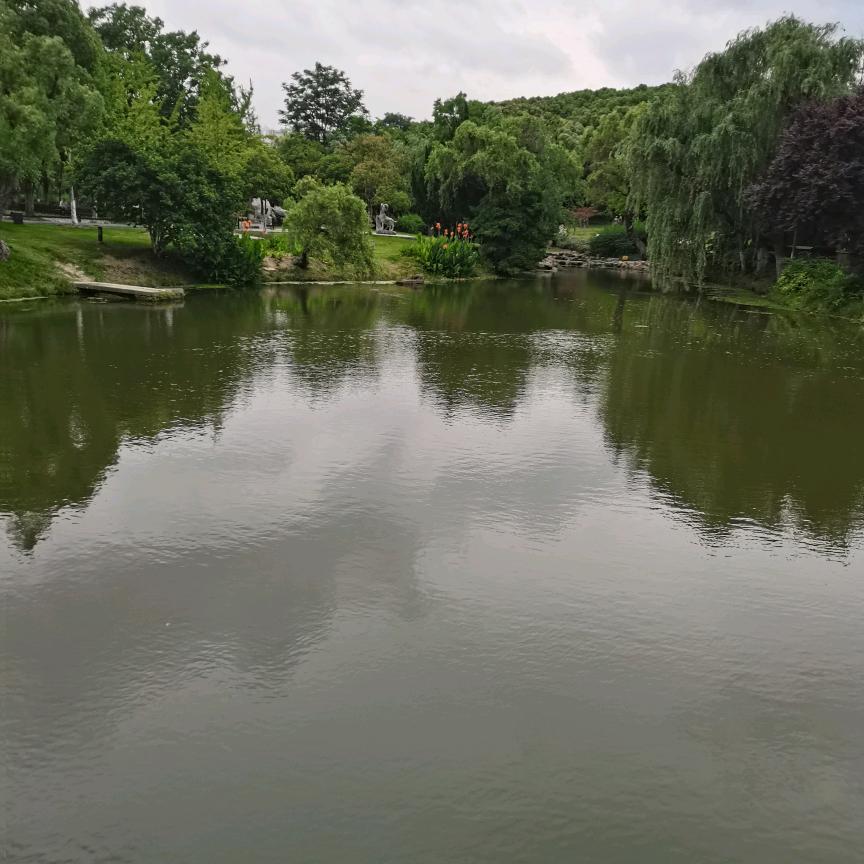 永远在你身边