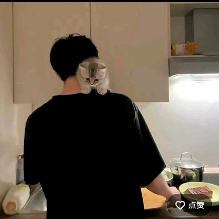 北雨yn版