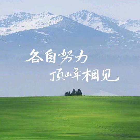 全托集训小陈老师