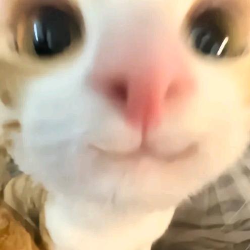 🌙我不看月亮