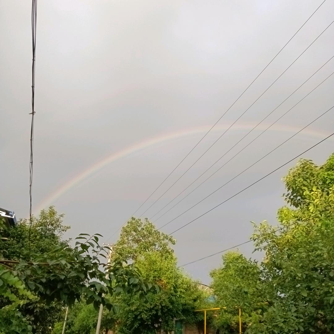 秋雨