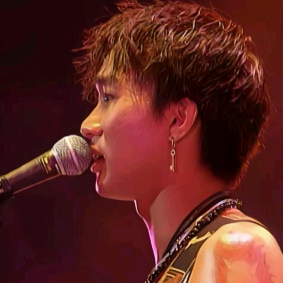 再见理想–家驹