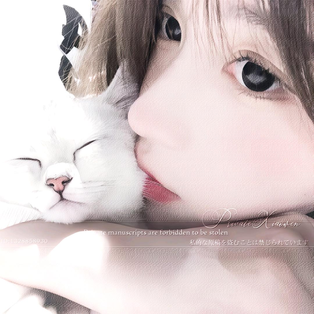 晚晚晚安啦