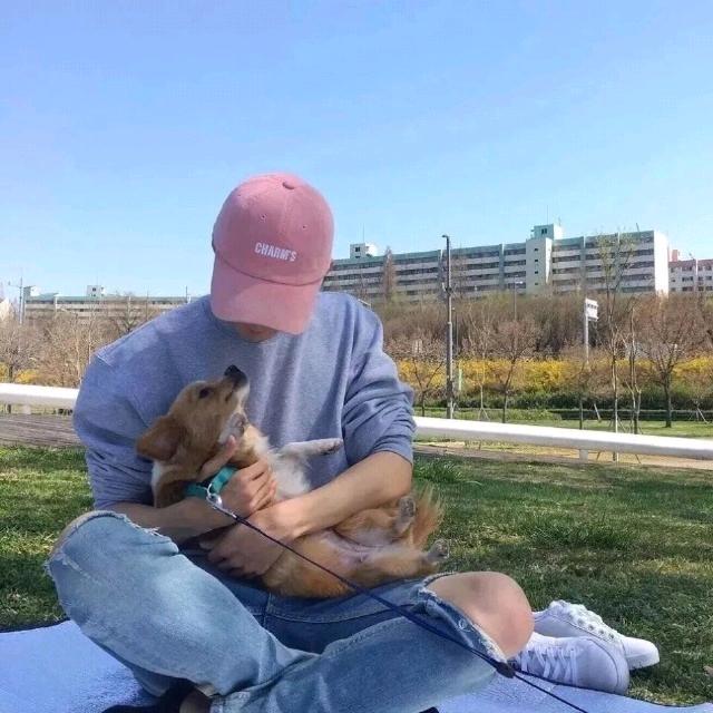 花落何以倾